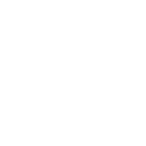 Infrastructure Penetration Testing: Protect assets - Seculyze